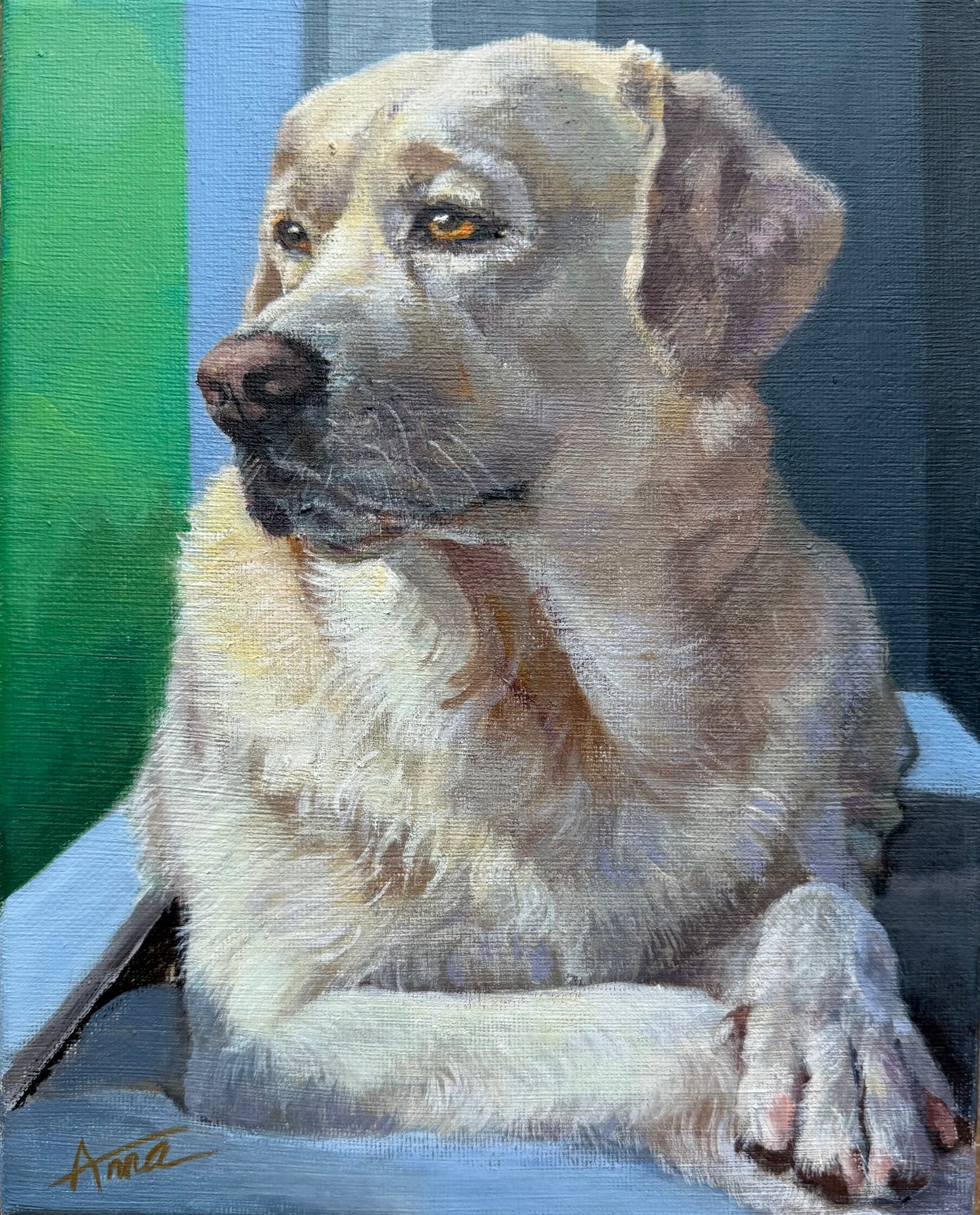 Dog painting