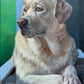 Custom Portrait Commission